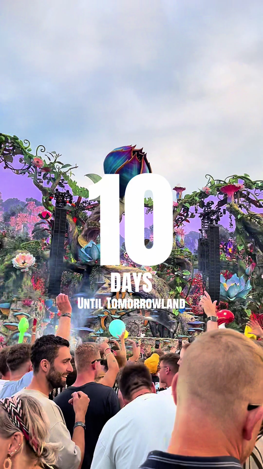 @TML COUNTDOWN