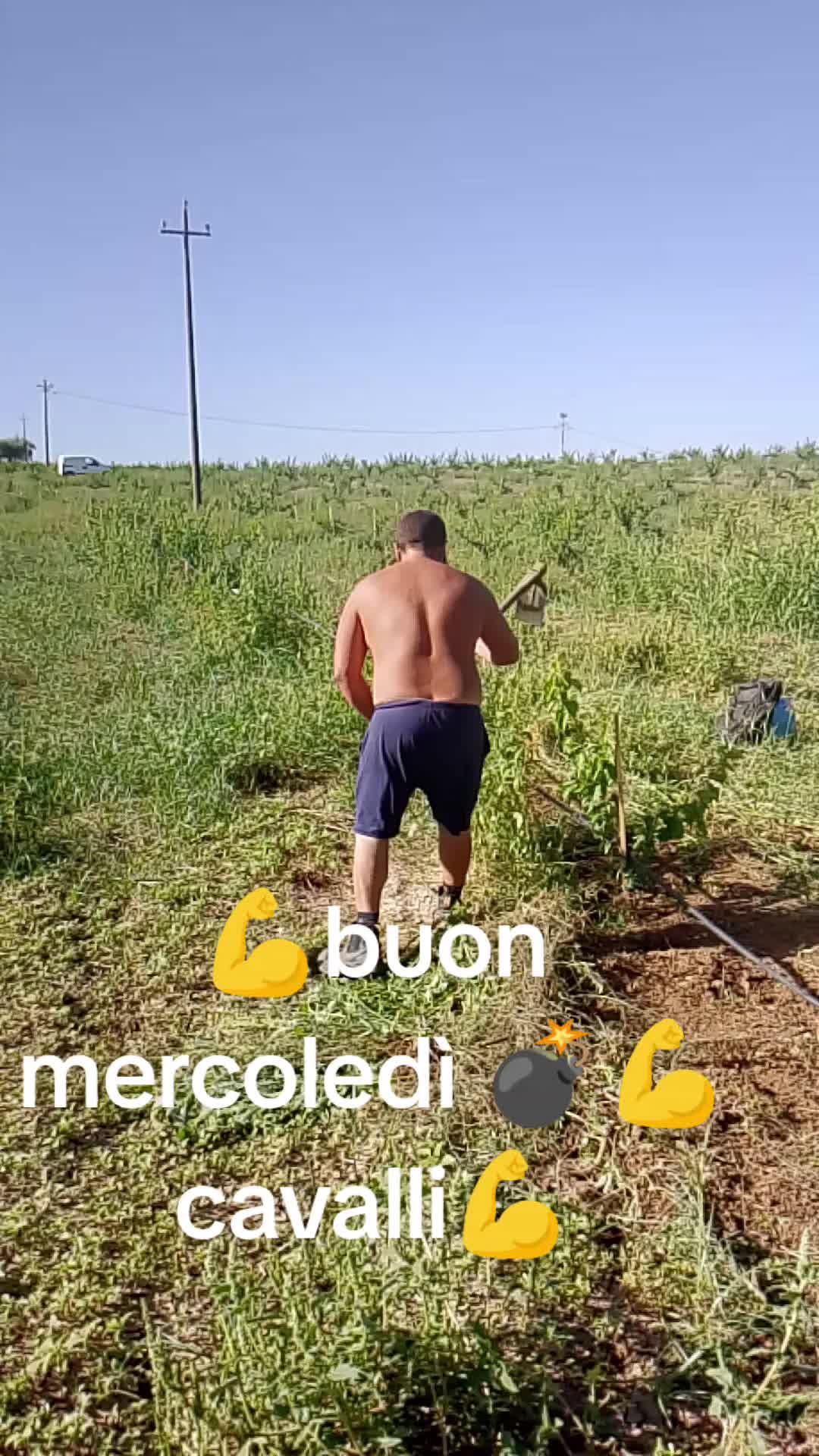 @Stefano Zagara