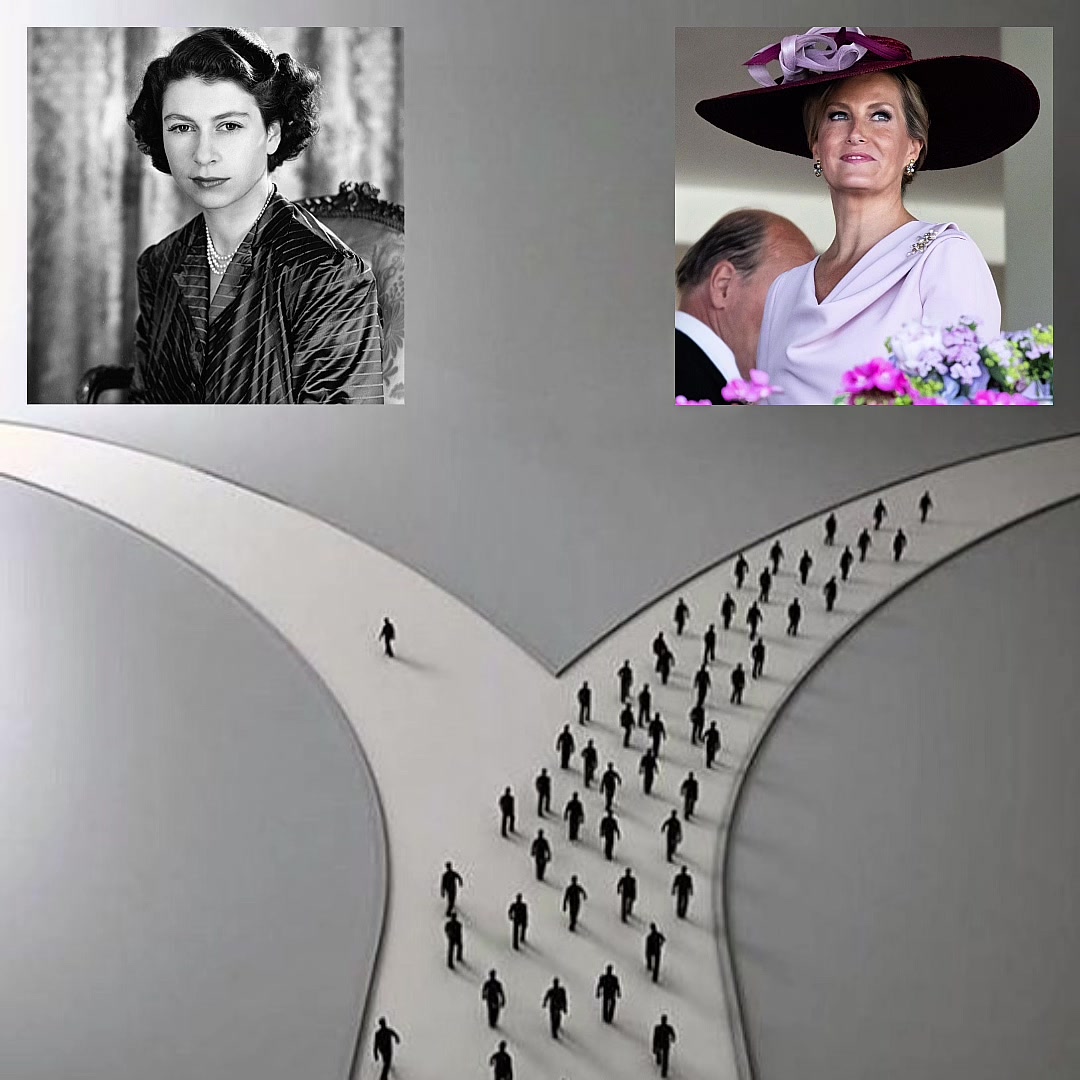 @𝔯𝔬𝔶𝔞𝔩𝔰.