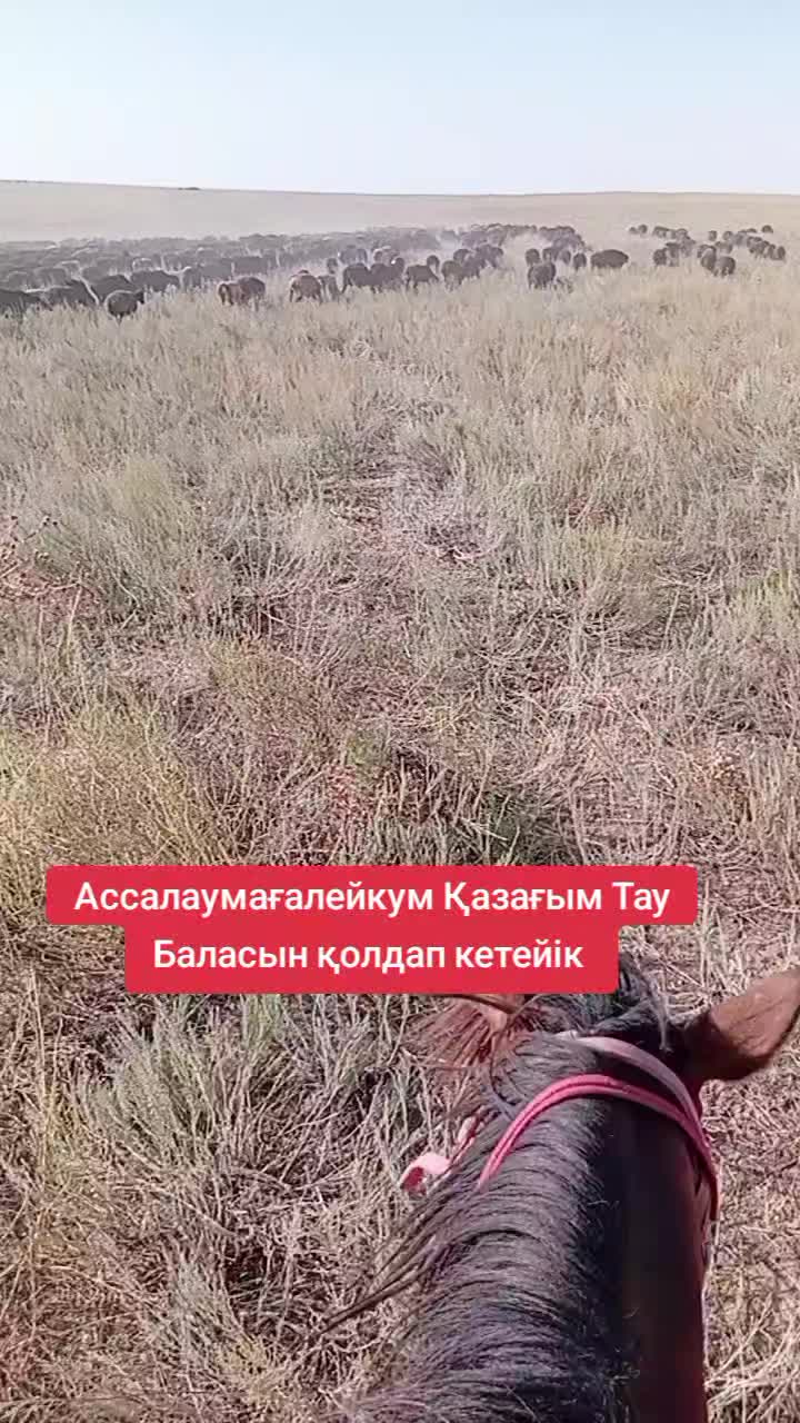 @Тау баласы Талгат