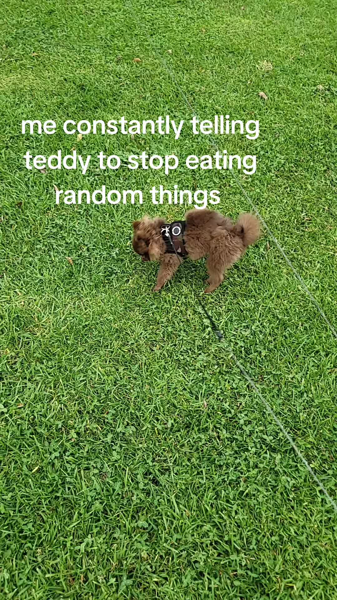 @theallnew
