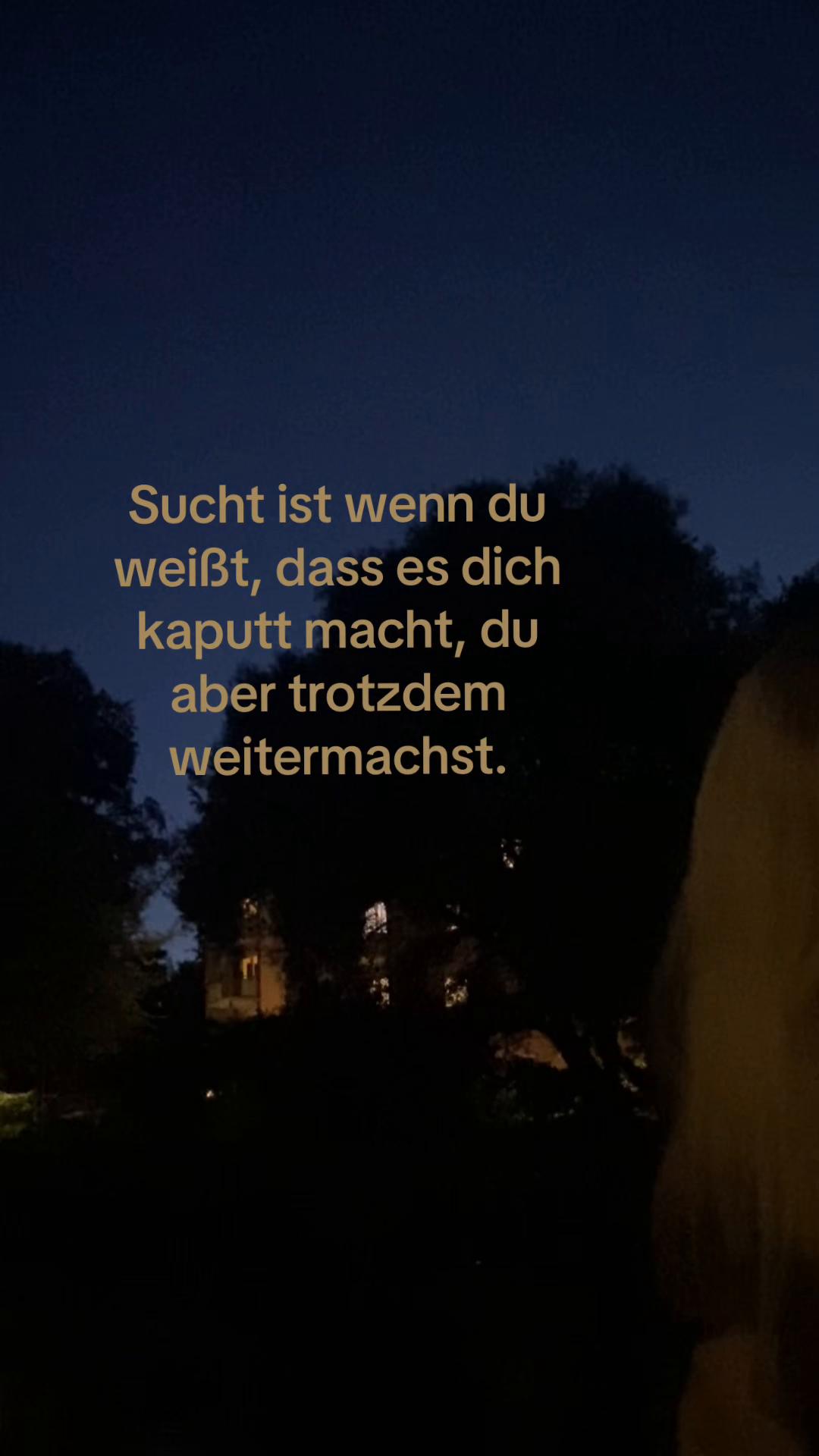 @¿¿¿