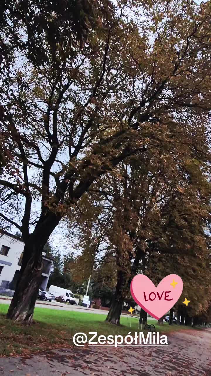 @Góraleczka Kinia 🌲🌲⛰️🏞🌹⚘️