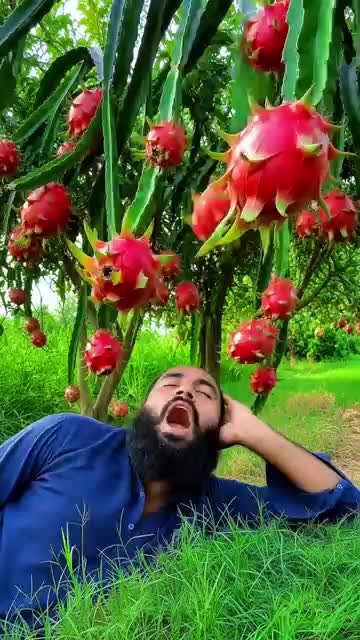 @Team Saifulla