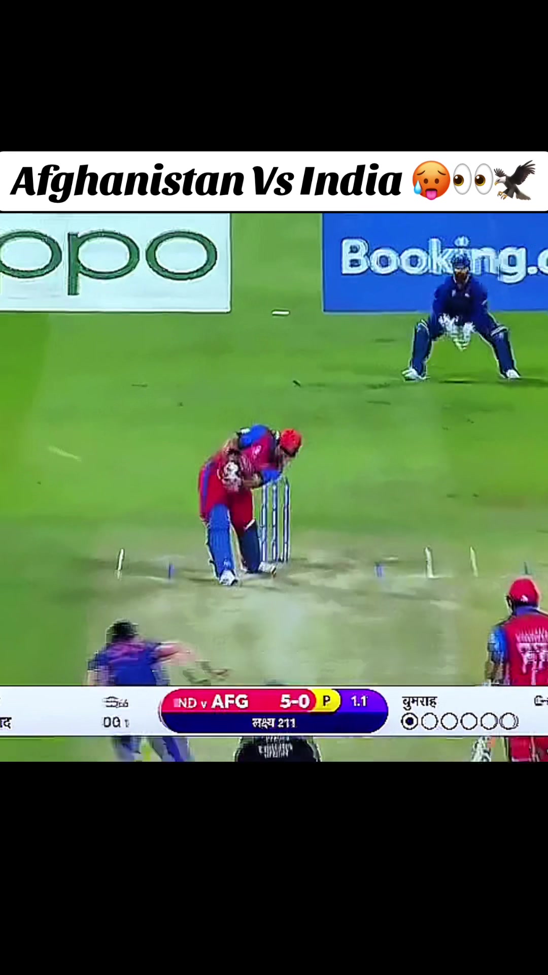 @CRICKET LOVER ๐ฅ๐