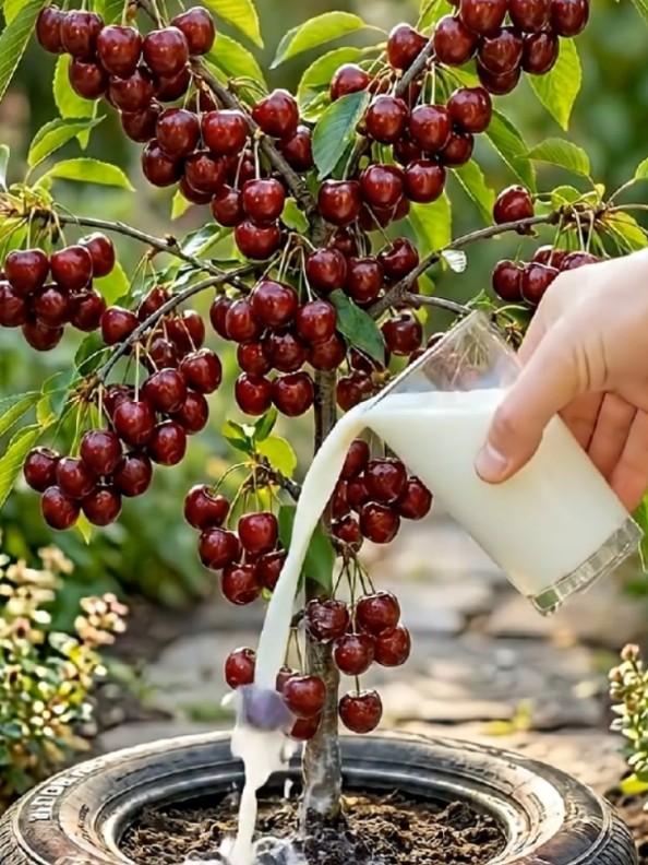 @PlantsLife