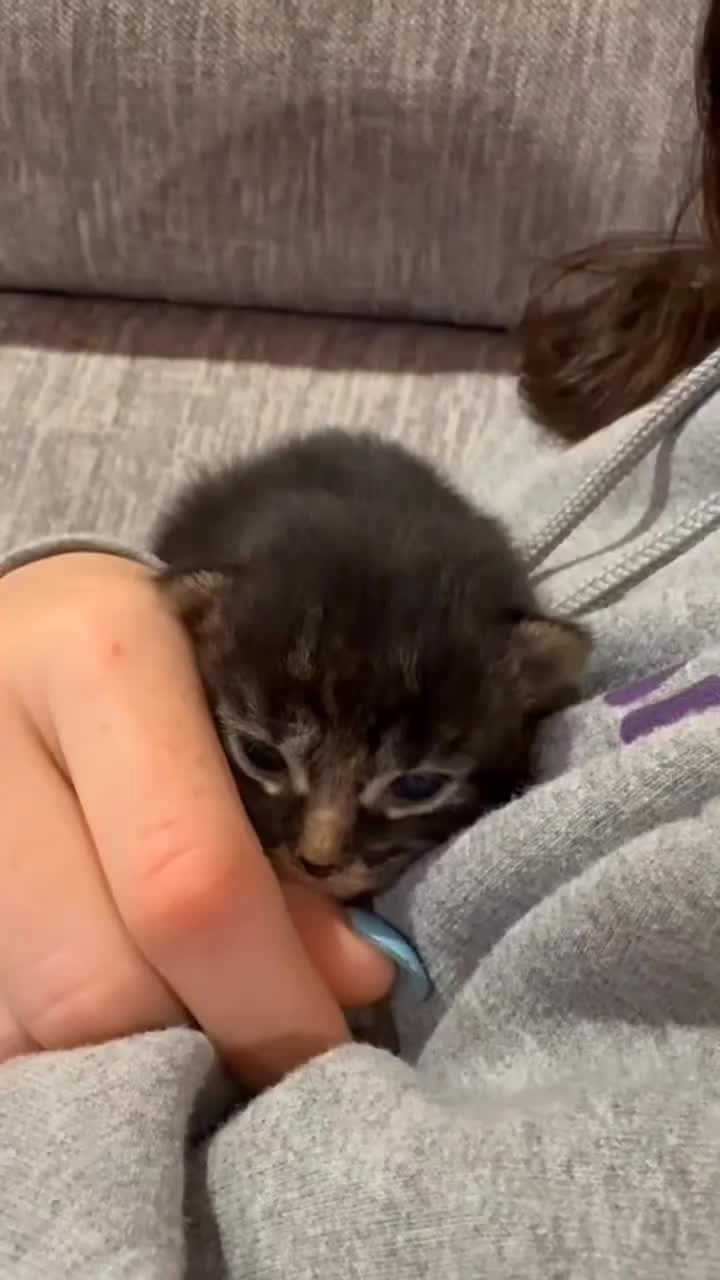 @catnipcrazee