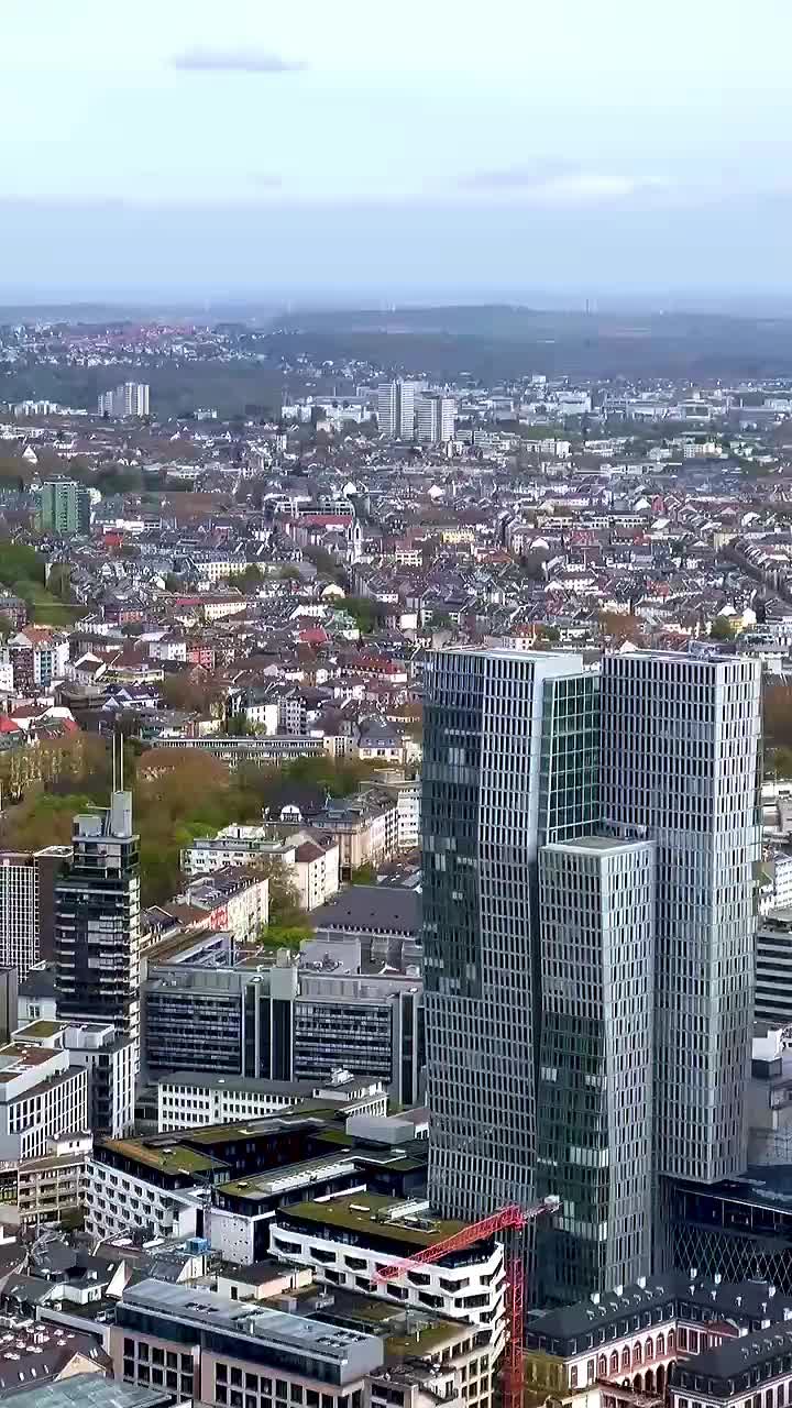 @FLOKI OSLO ⁷⁹ 🇧🇻