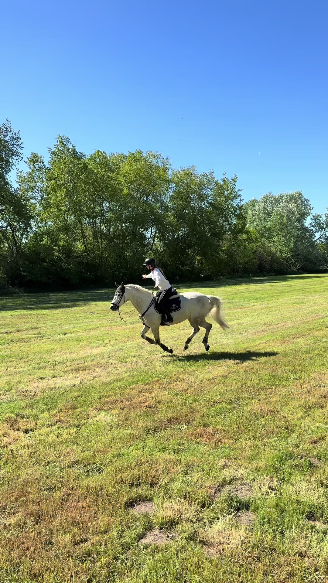 @lea_ponyeventing