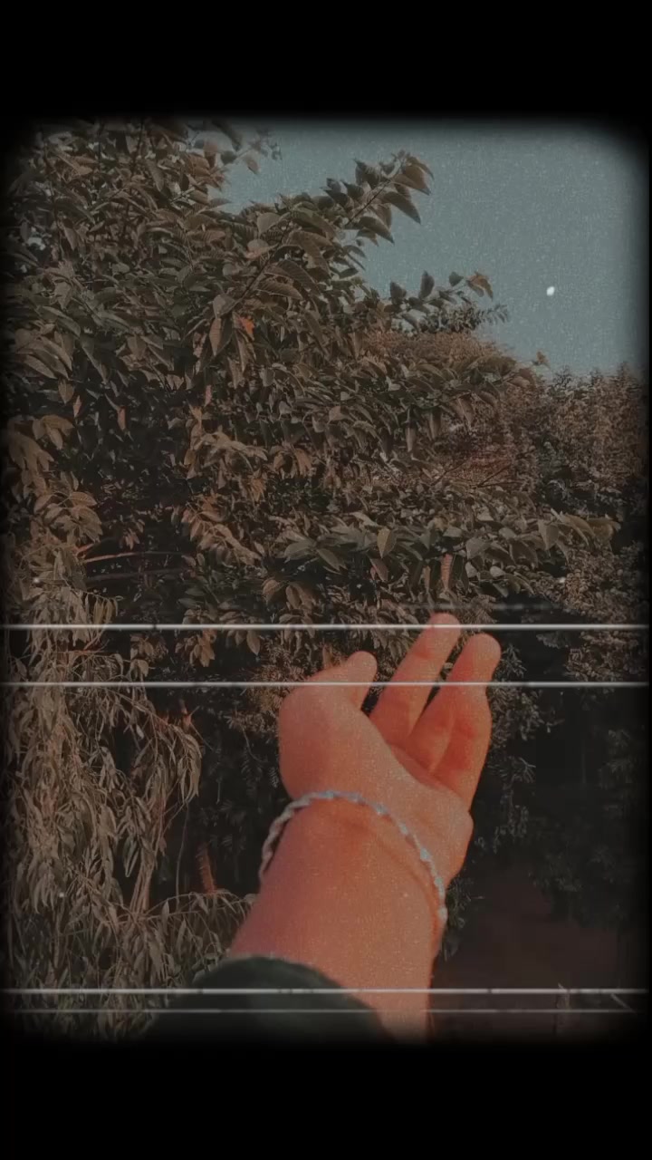 @{simple🕊️🪽 queen}