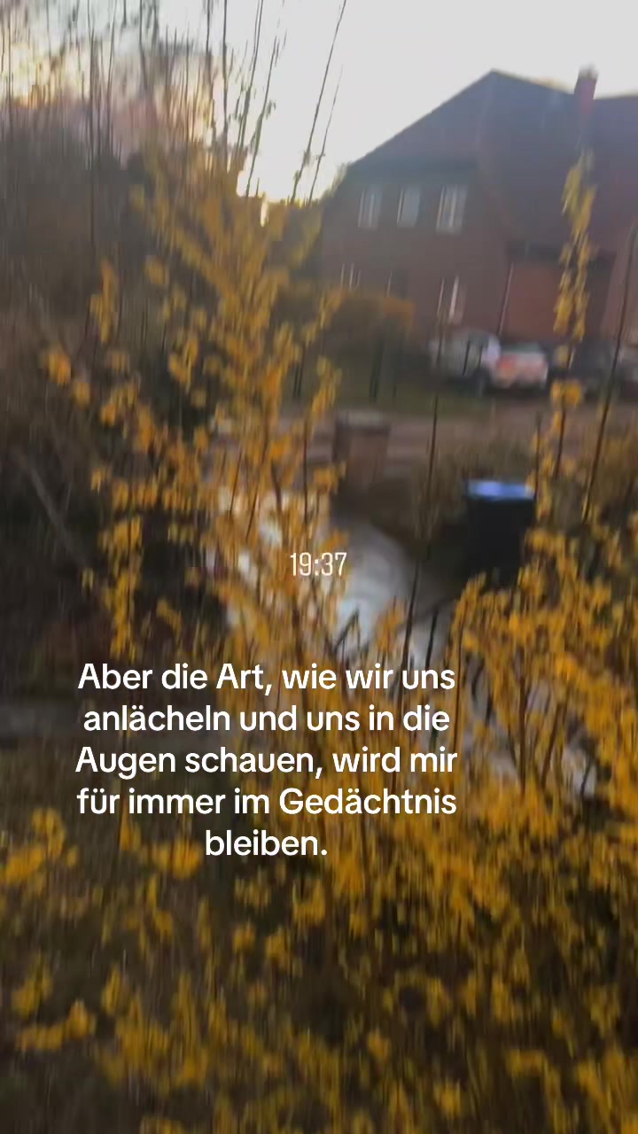 @🍂