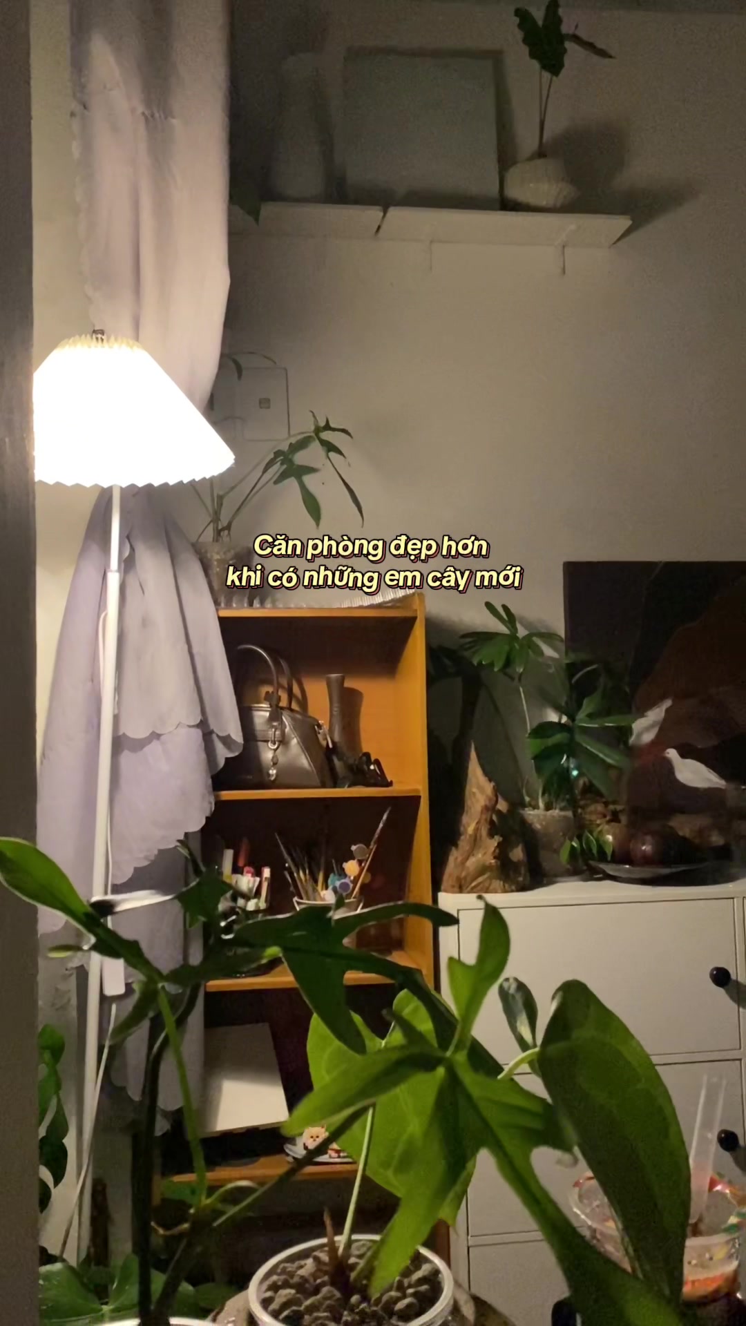 @Cây nhiều lá 🌿