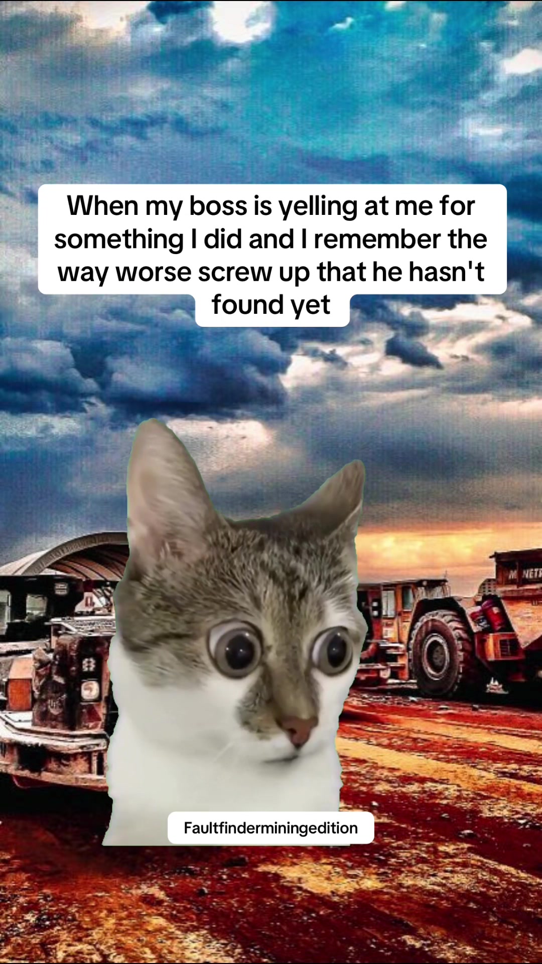 @faultfinder