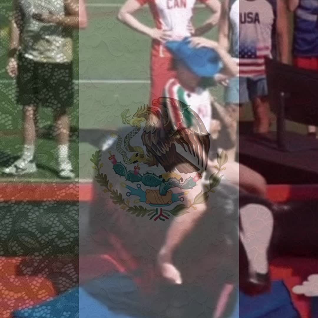 @🪽