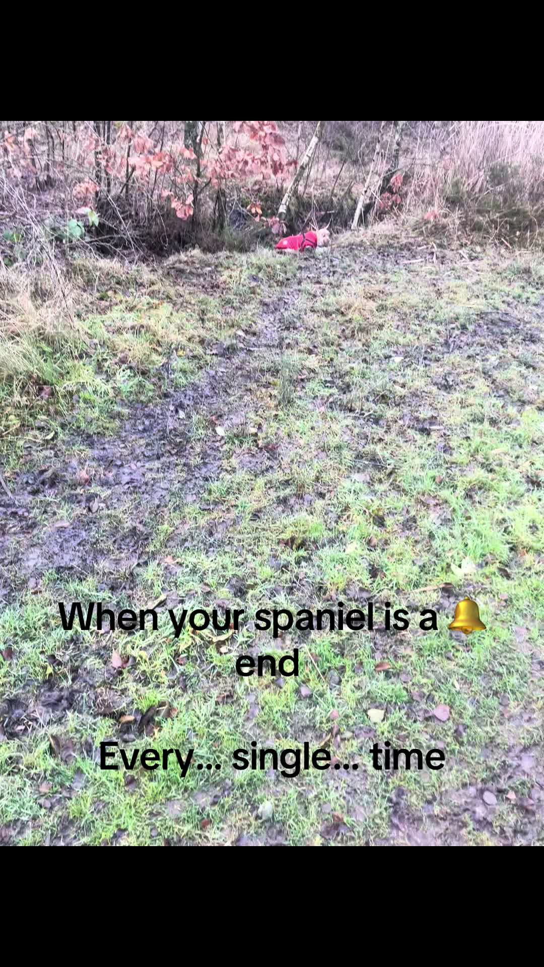 @JJ2509