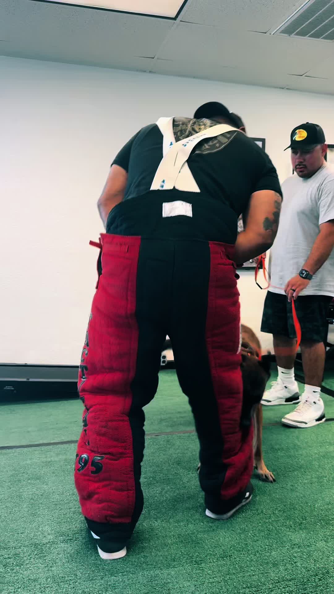 @Tactical K9s Dog Training