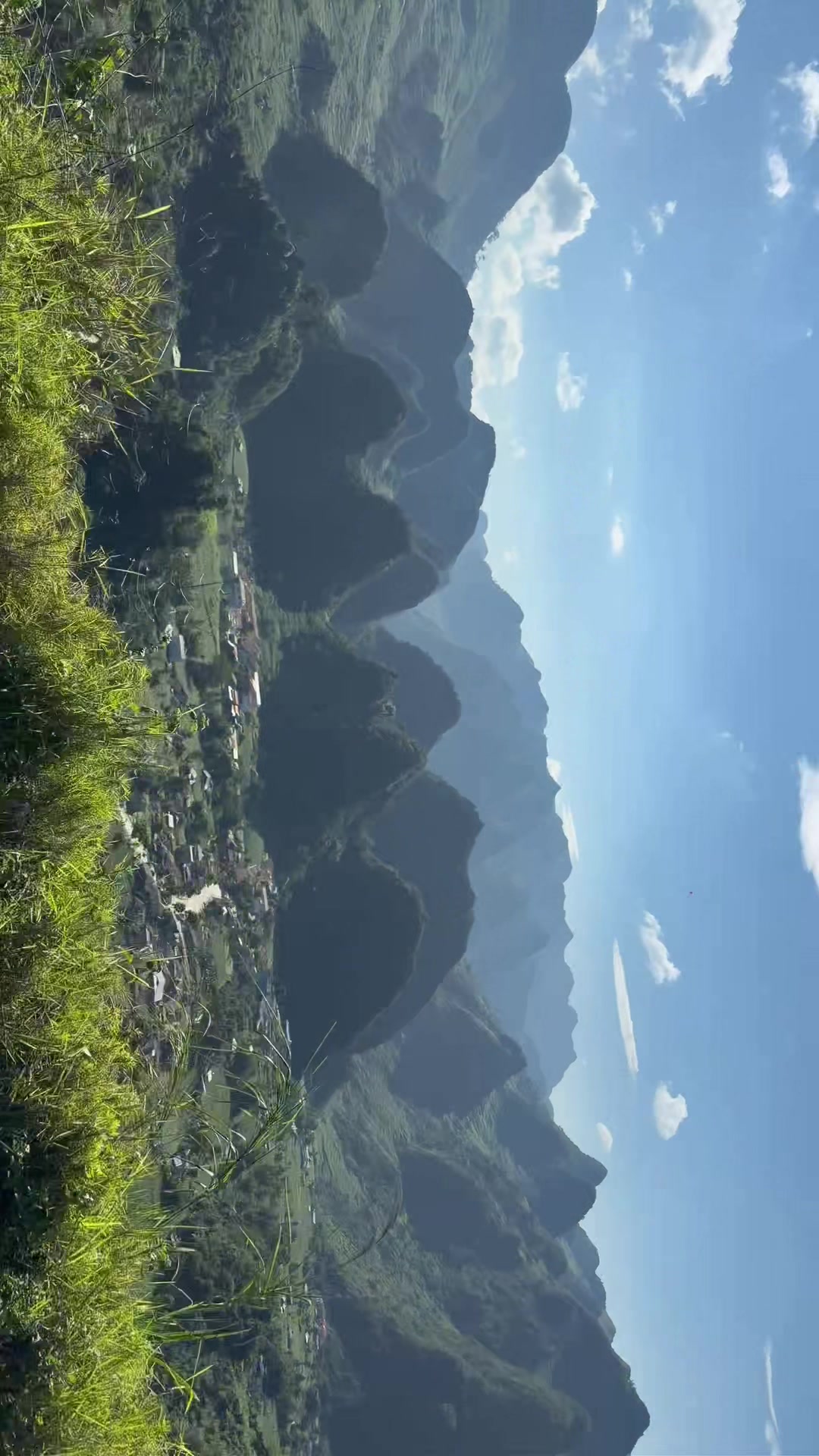 @Mineia 🌺 vegan travel