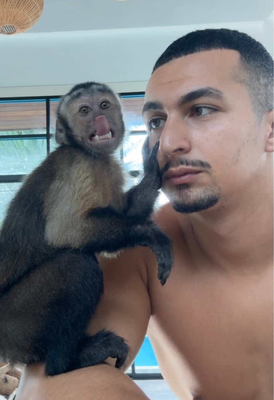 @Tarzane 🦍