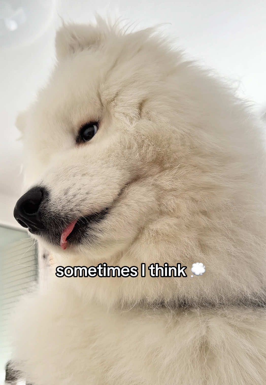 @snowydayswithlio
