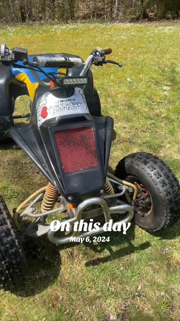 @Arcticcatmatt
