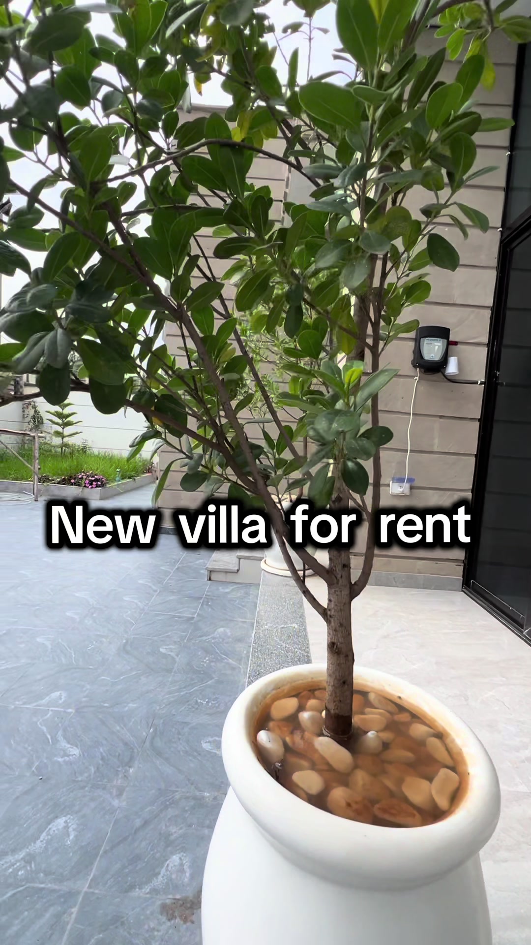 @Time Property rentals & sales