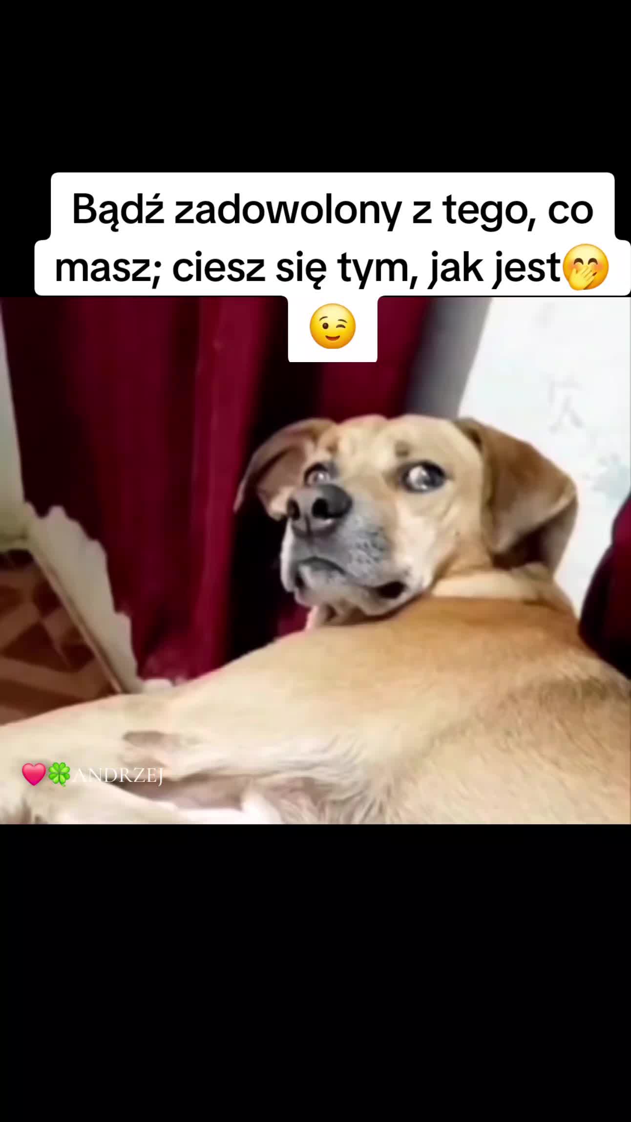 @❤️🍀ANDRZEJ
