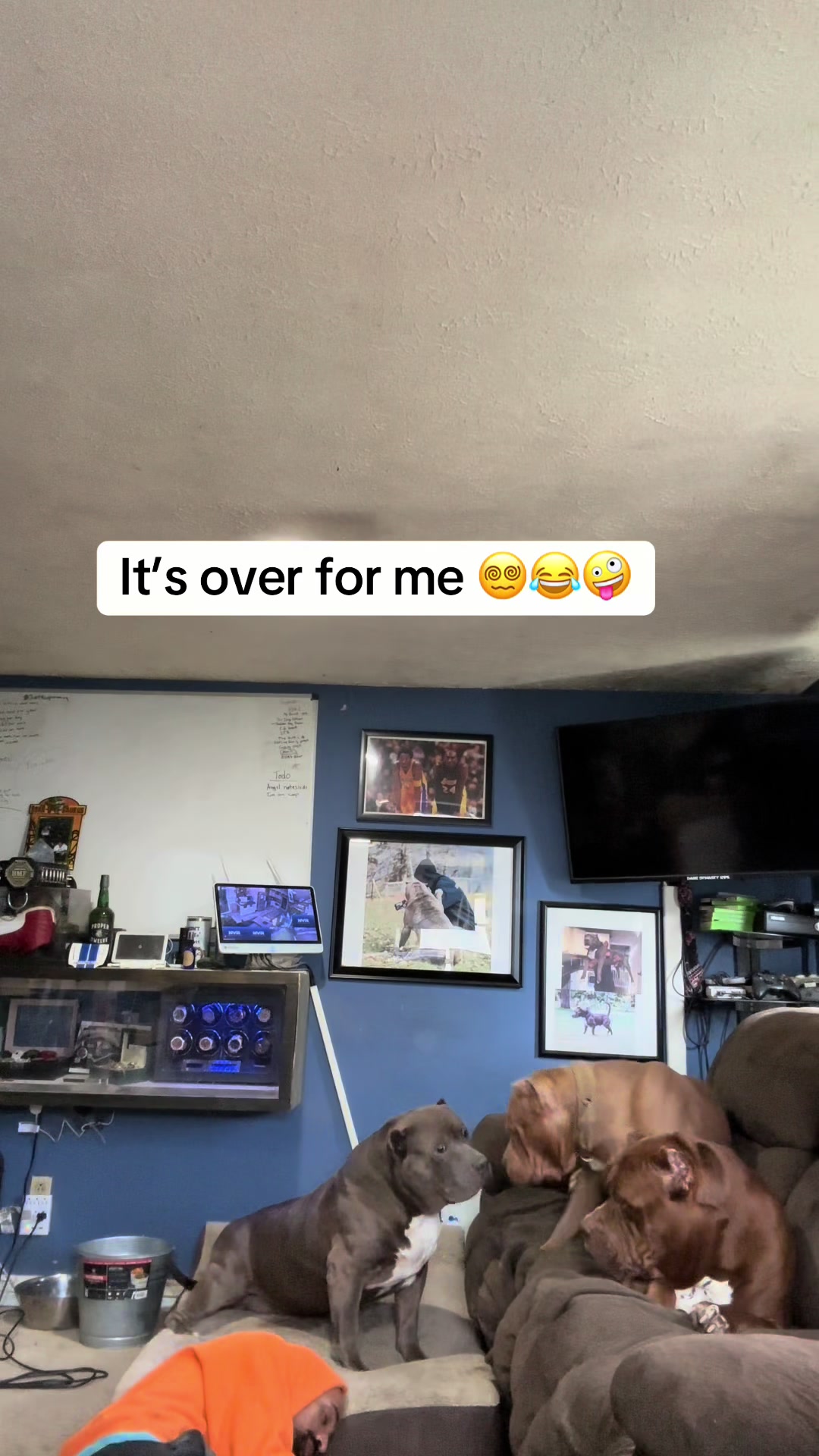 @DarkDynastyK9s