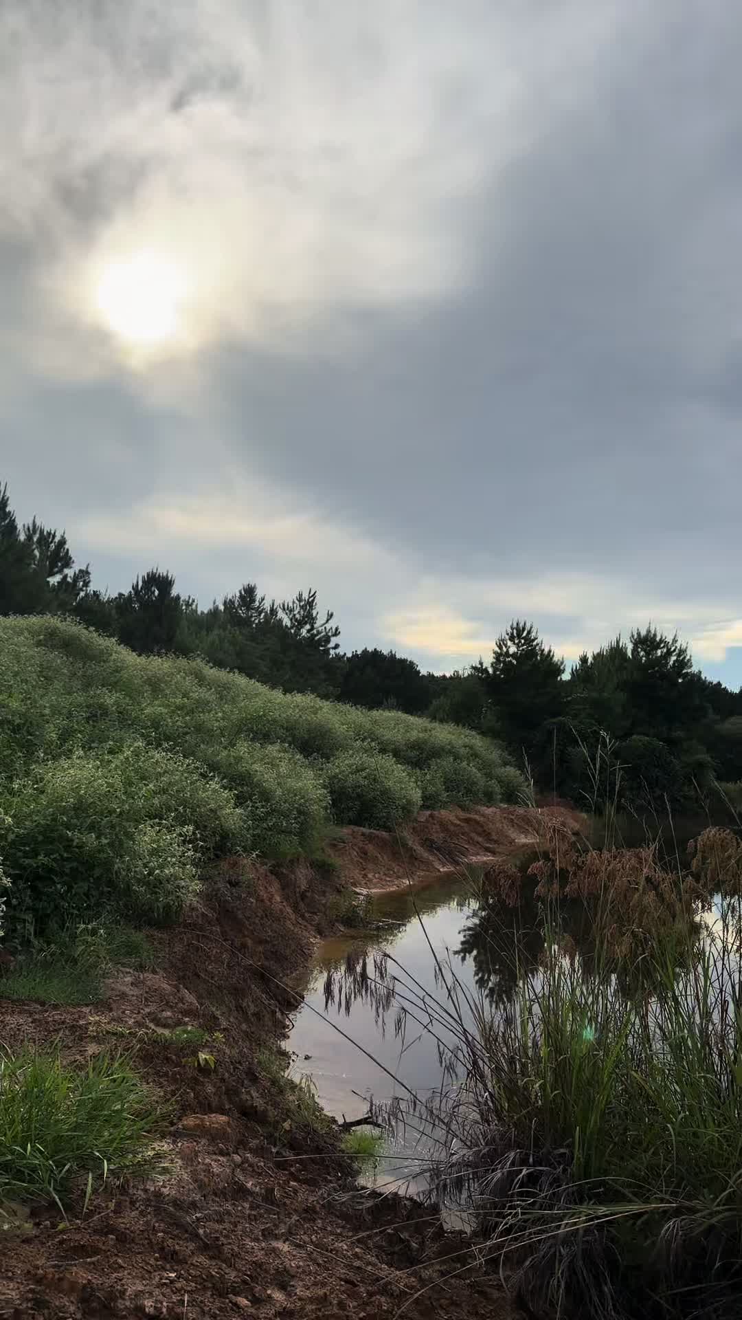 @Mandi✨SAHMama🤍