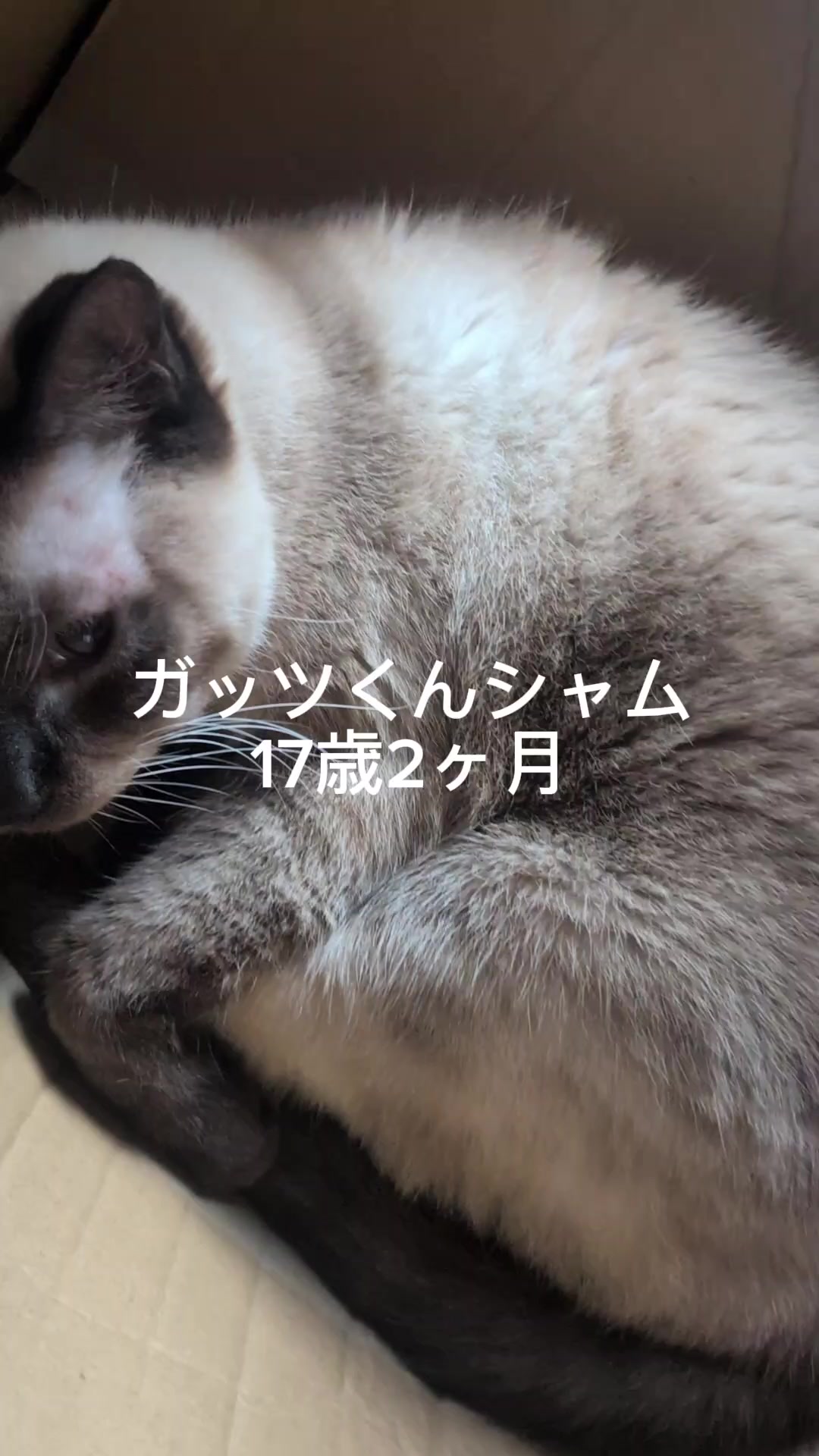 @睡眠プロデュース