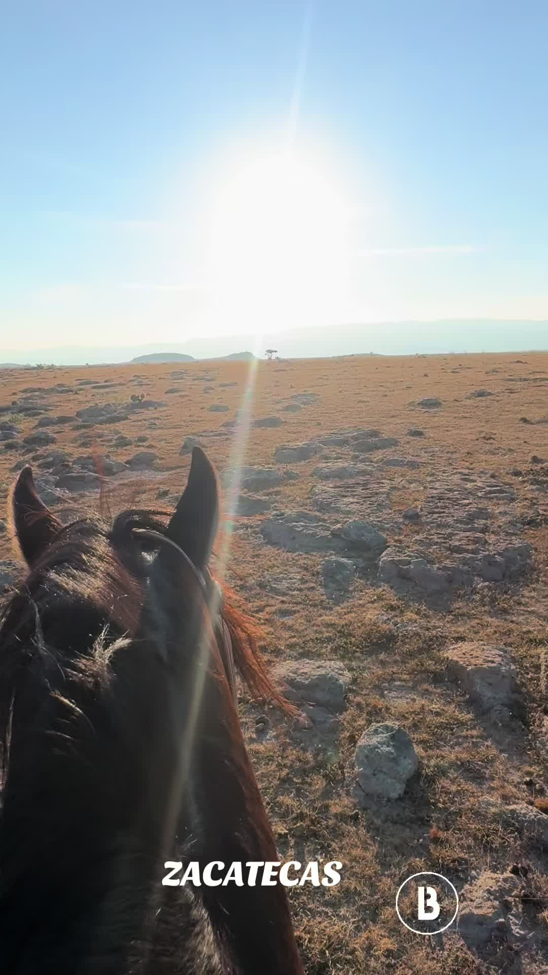 @El zurdo🌵🐴