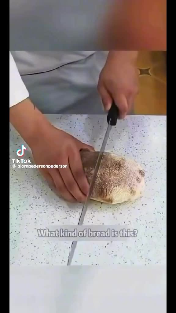 @крыска котик