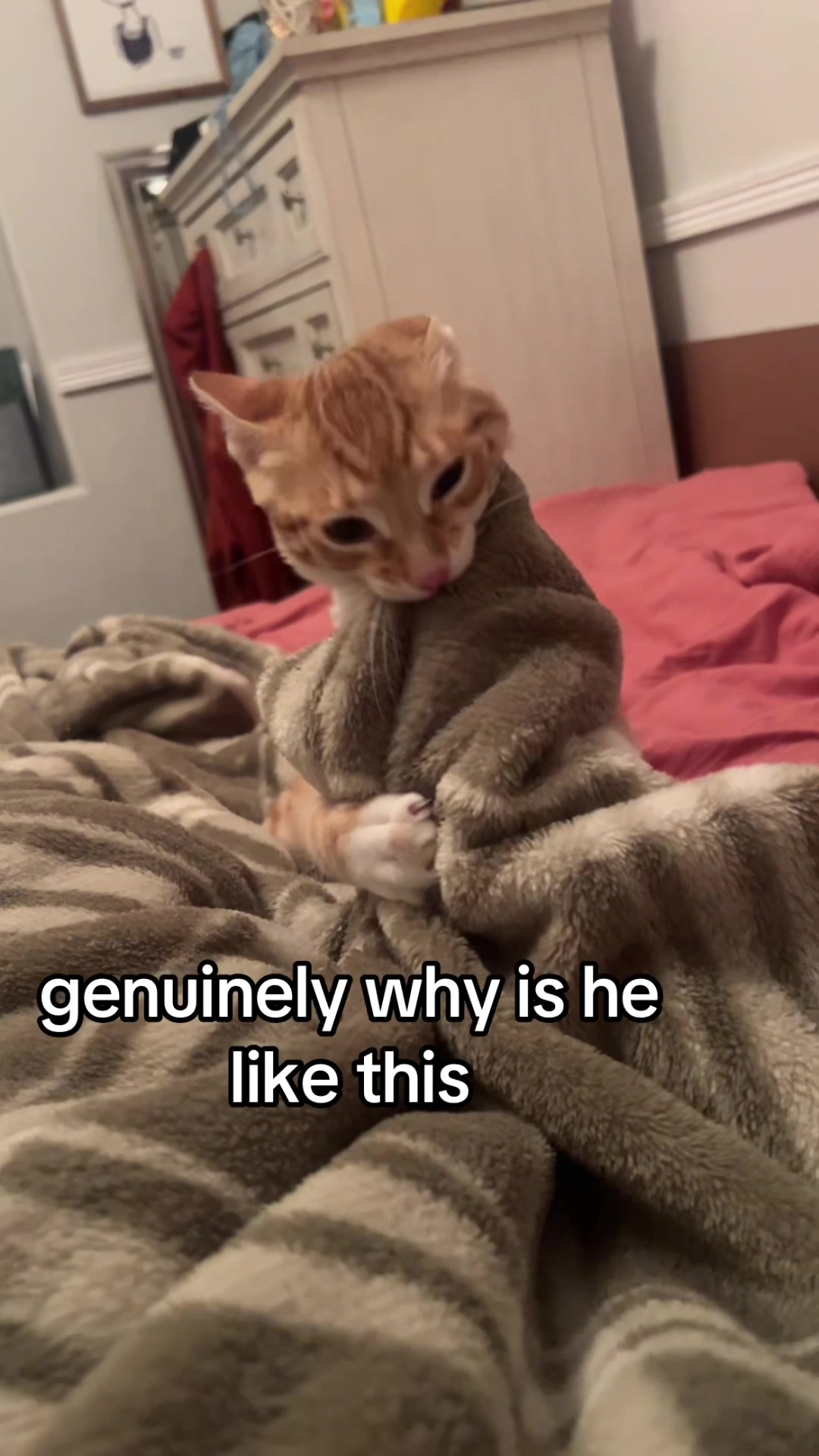 @chelc