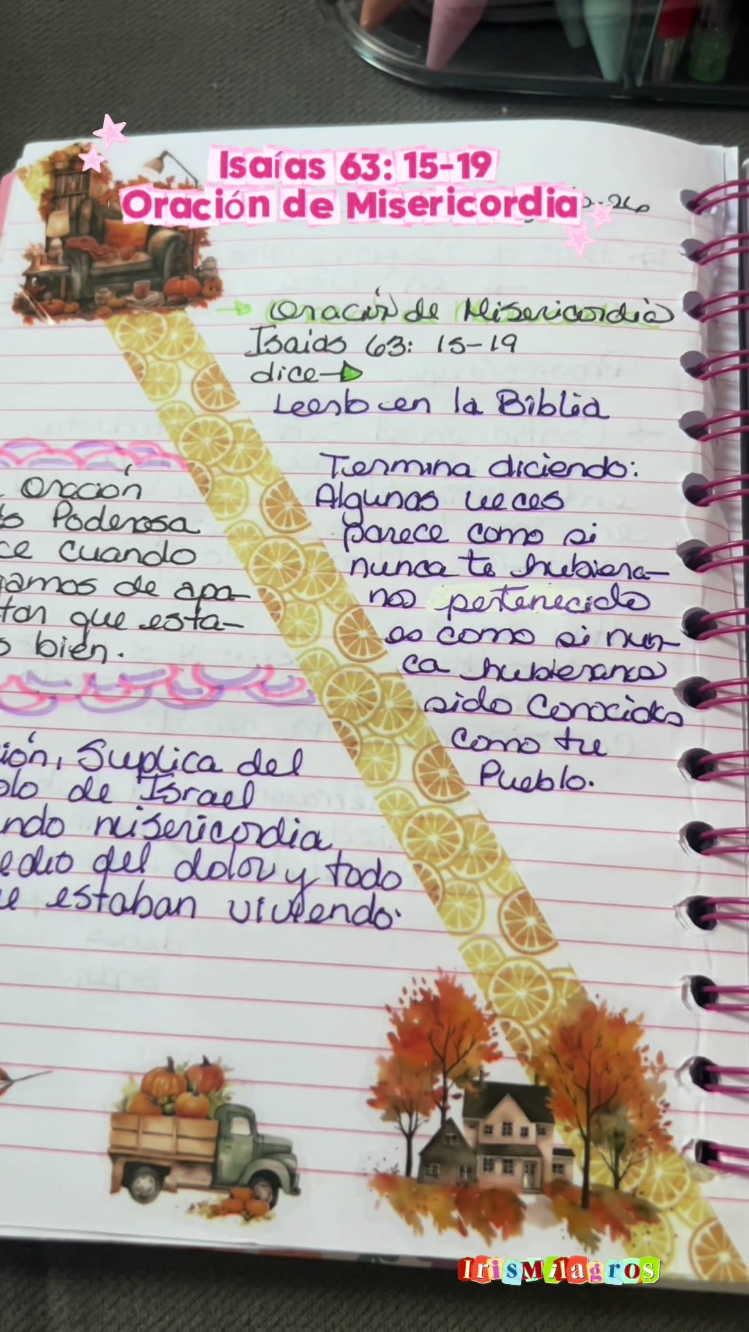 @IrisMilagros 🌼🌸