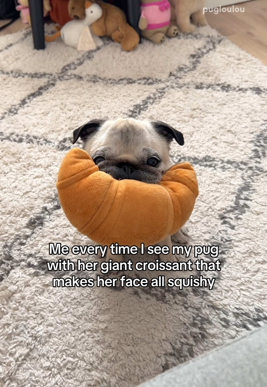 @Loulou the Pug