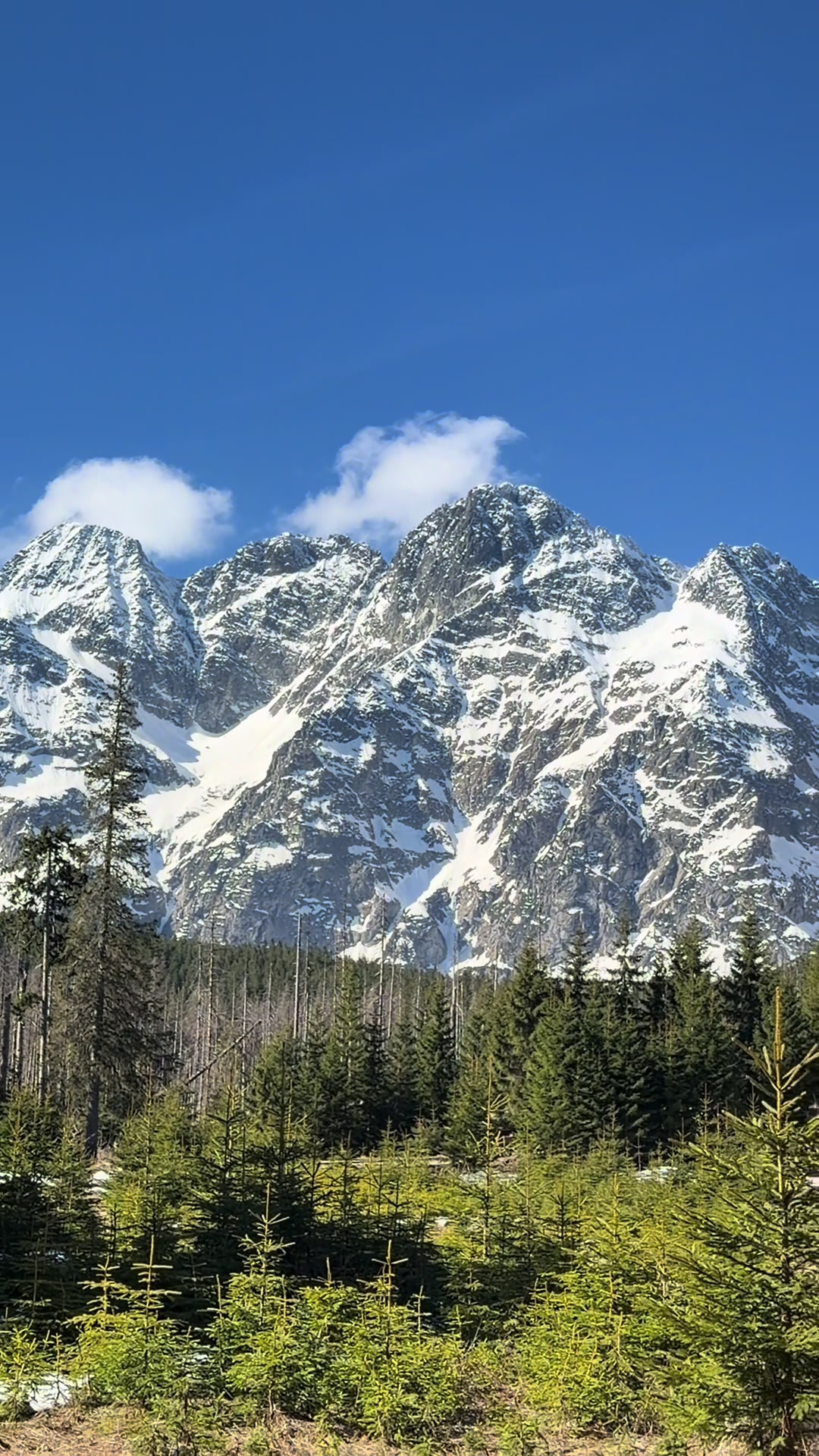 @Hiking 💚TaTry💚