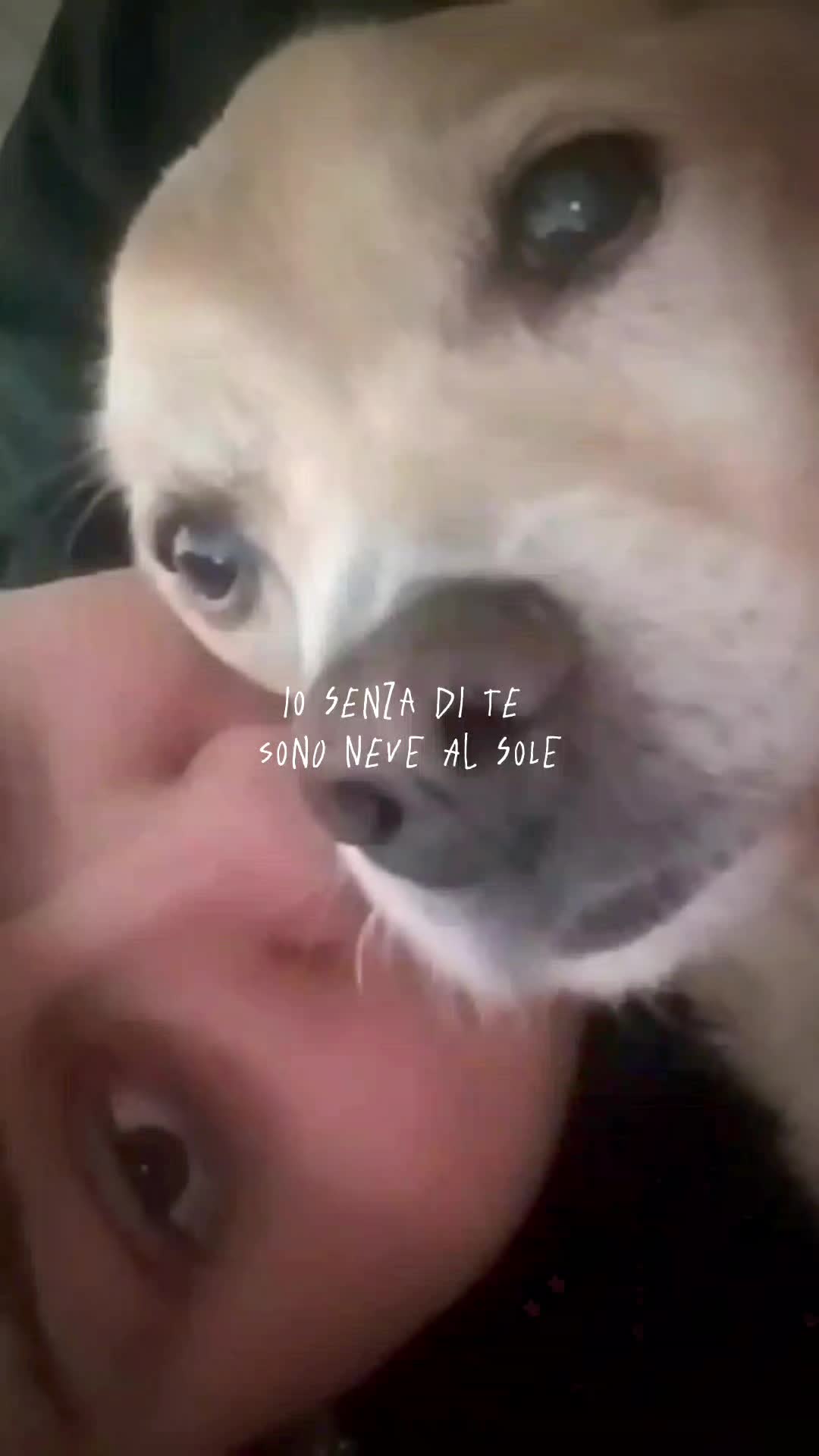 @Giusachiella011