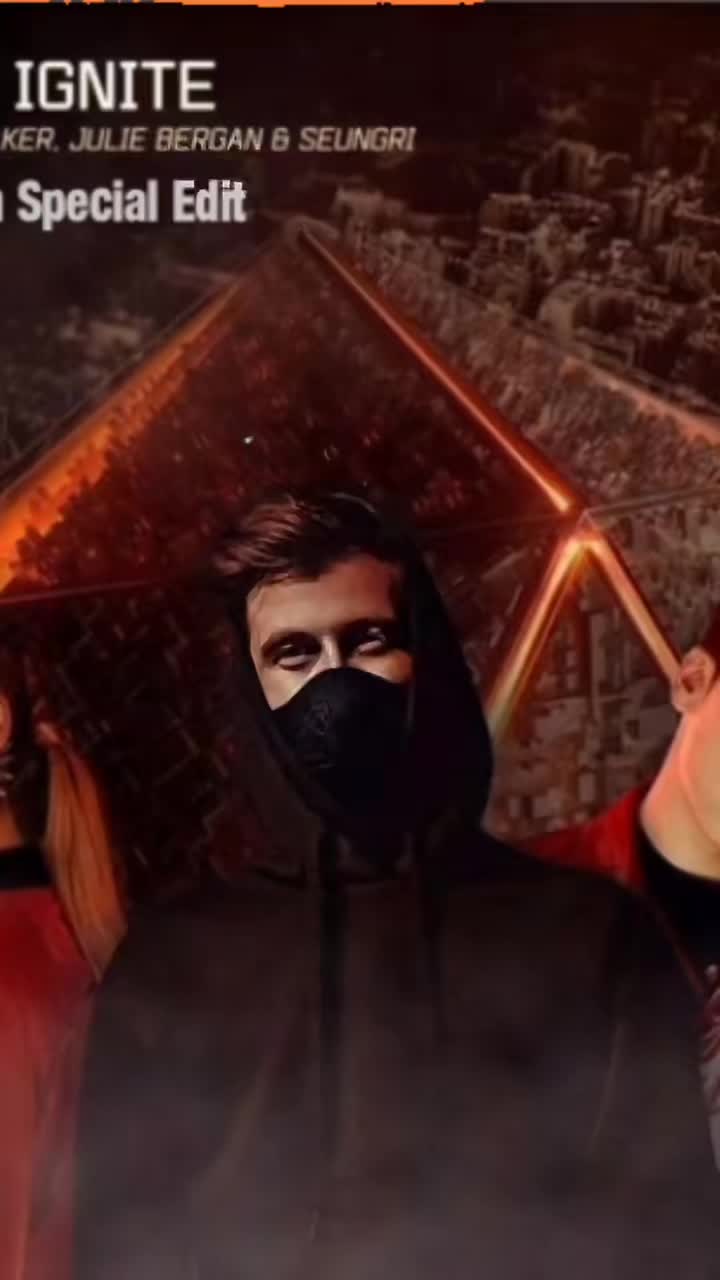 @Alan Walker Fan
