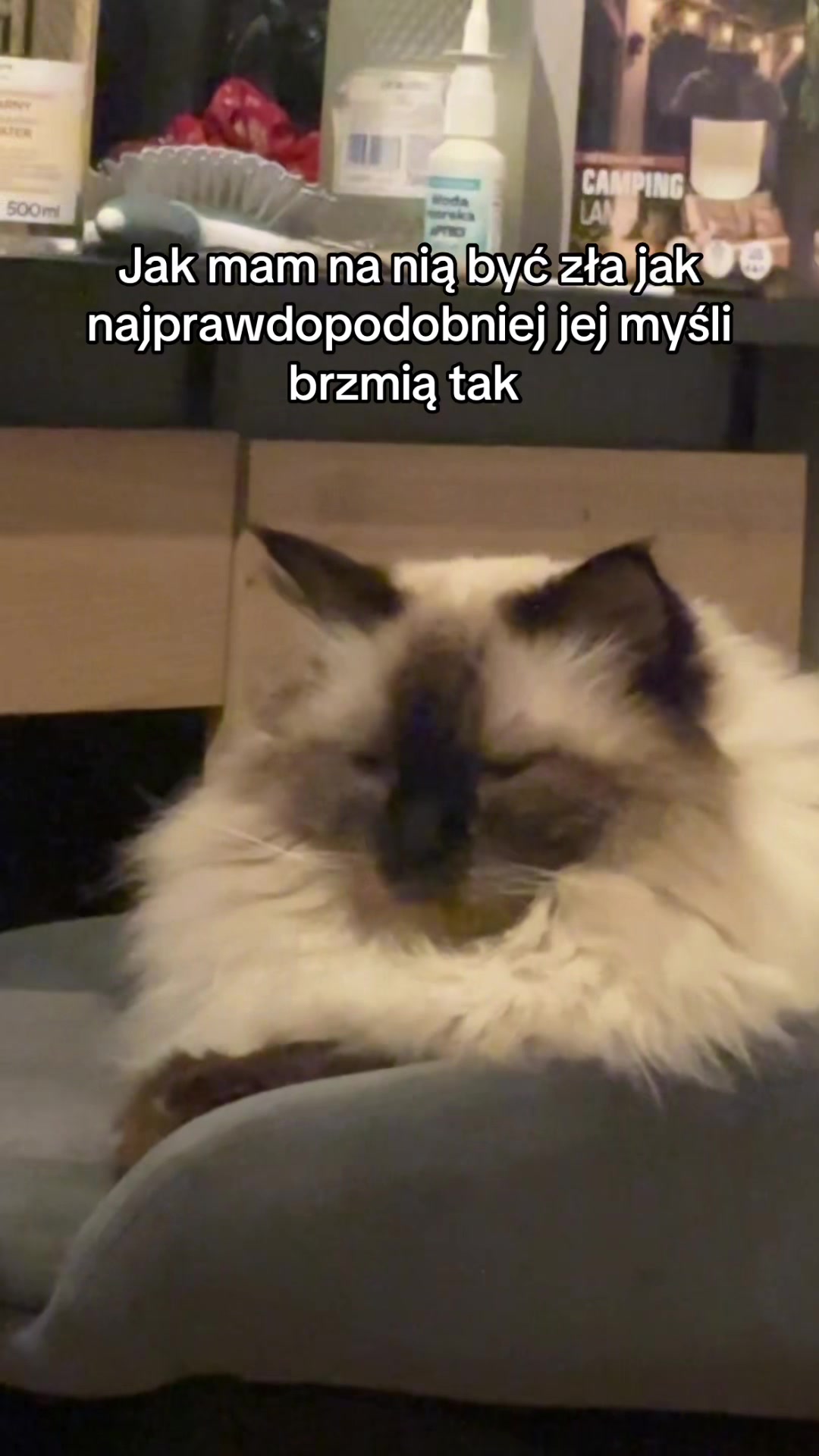 @๐๐ช๐ณ๐ช ๐ด๐ธ๐๐ฒ๐ด