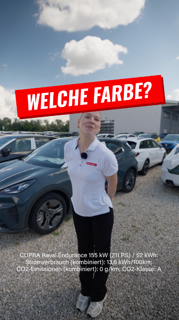 @Auto Bierschneider