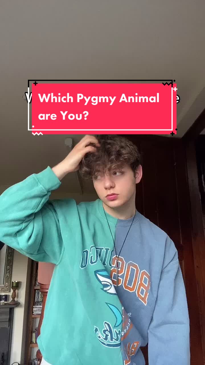 @Rhys
