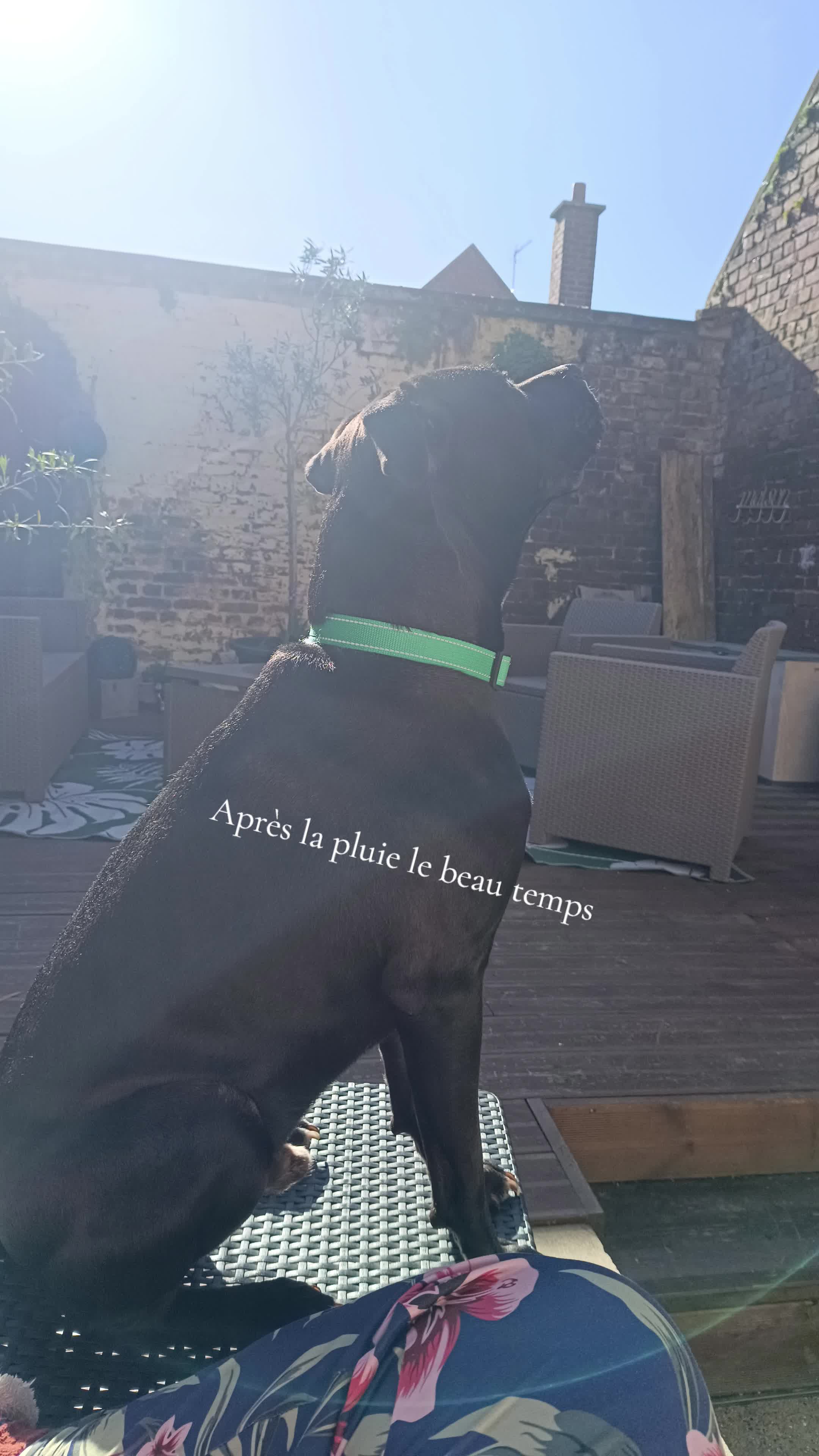 @AR