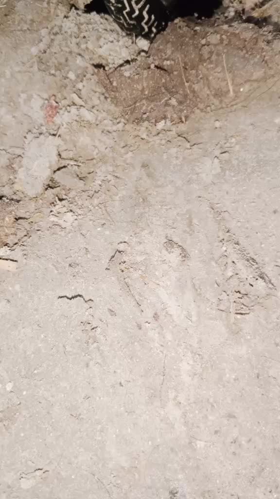 @kunalsingh95460