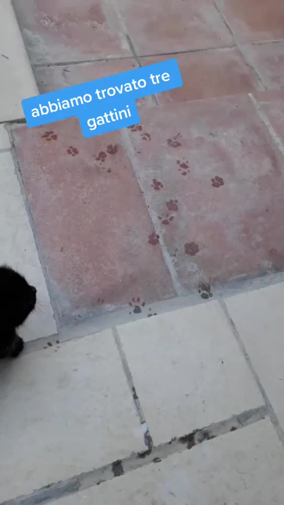 @raffaellanasca