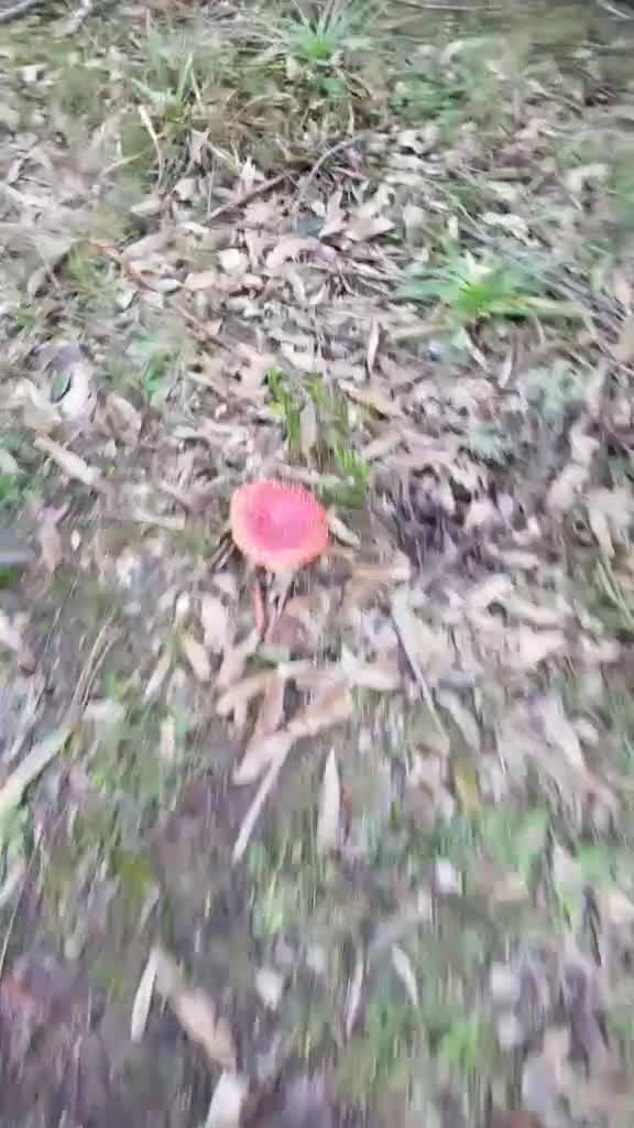 @Drapzz