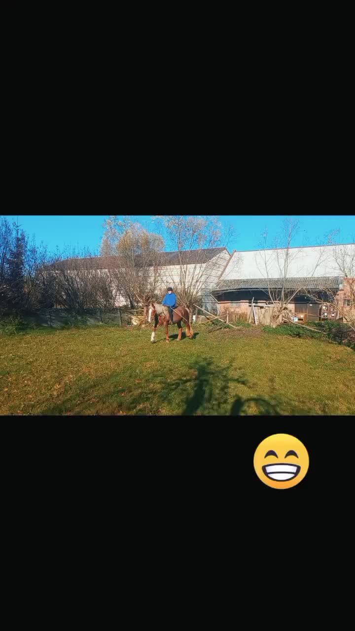 @robertstachowski02