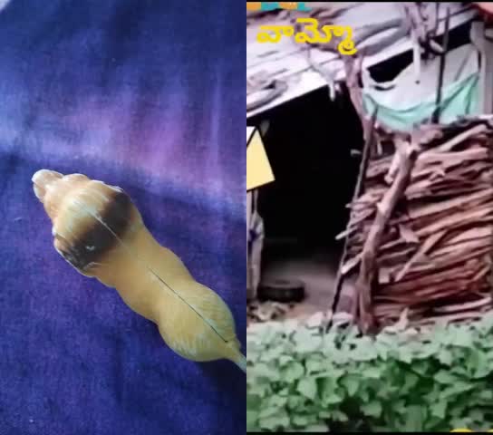 @@pgrv143