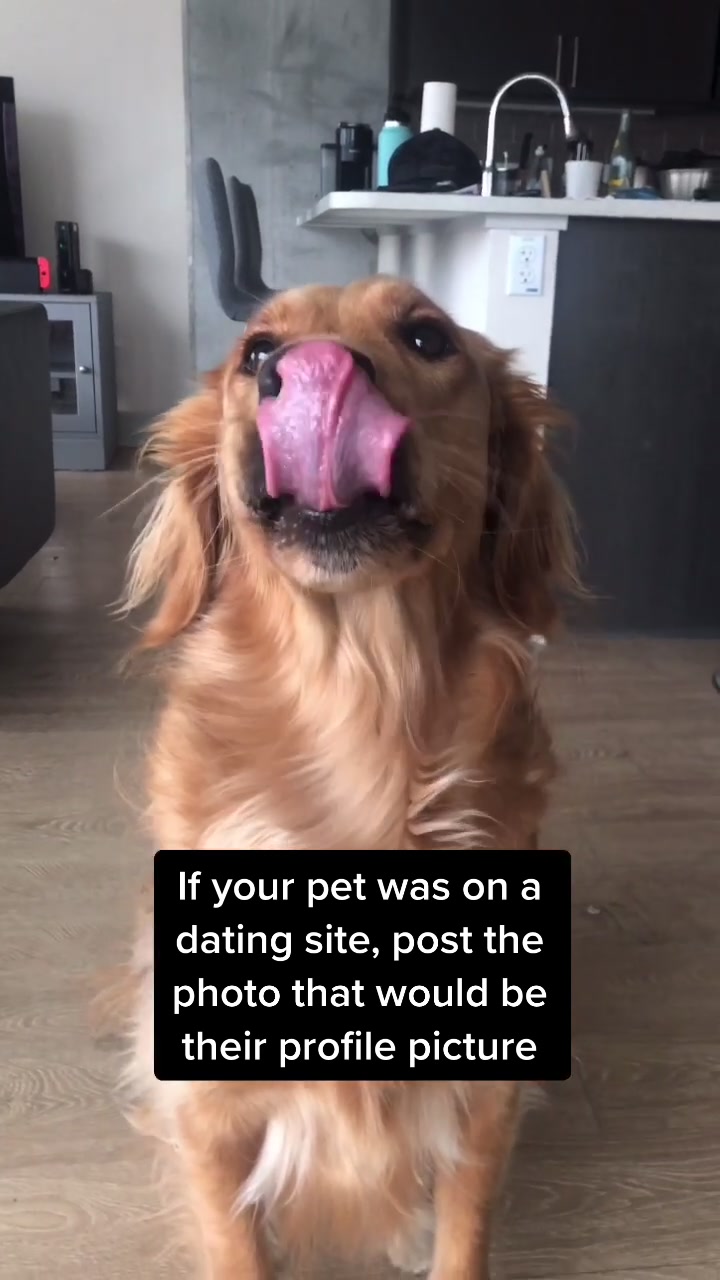 @riley_the_nugget