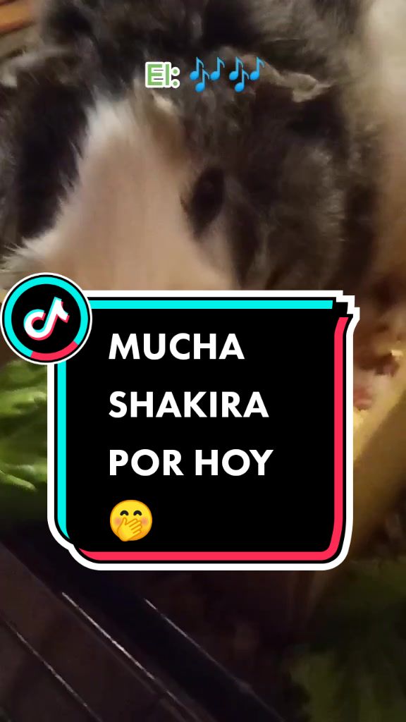 @elratón