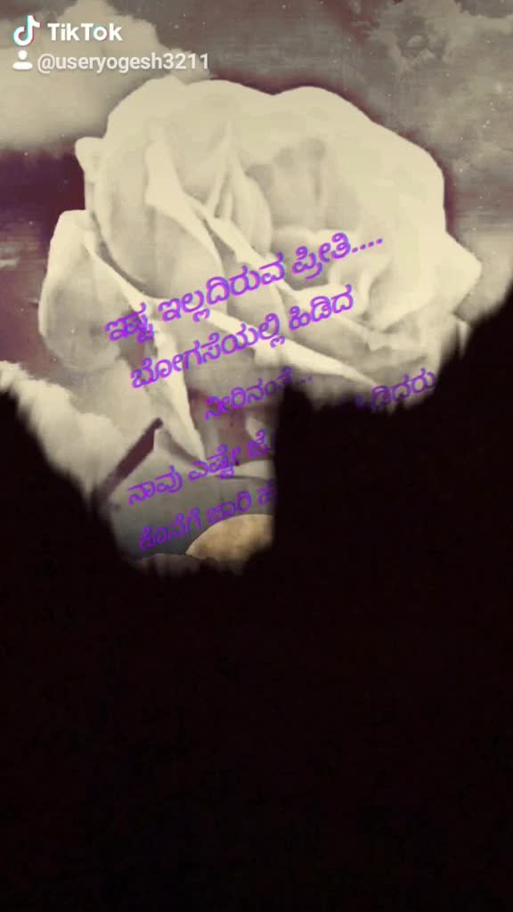 @yogesh nayak s s