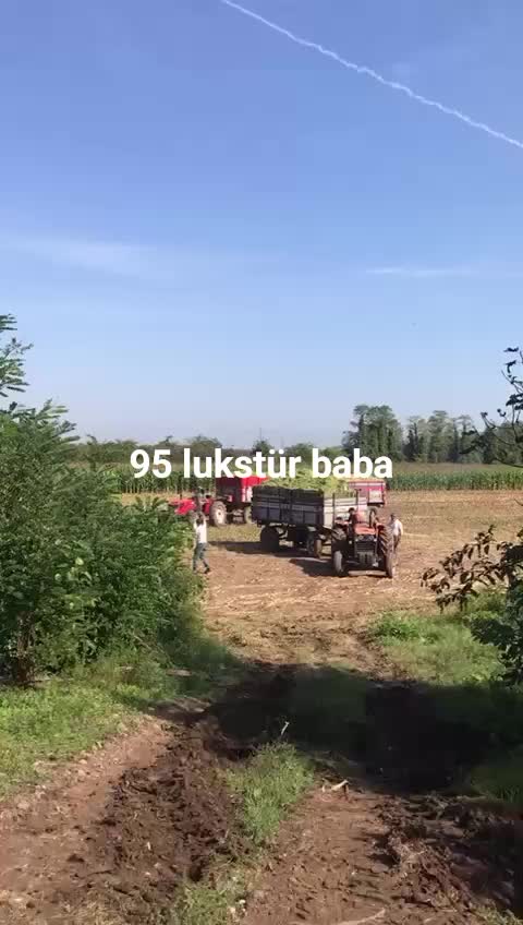 @TC _Aslan _Özcan